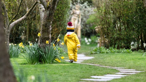 A small child in a yellow waterproof jumpsuit walks away from the camera along a winding stone path between trees with daffodils growing around their in a small orchard.